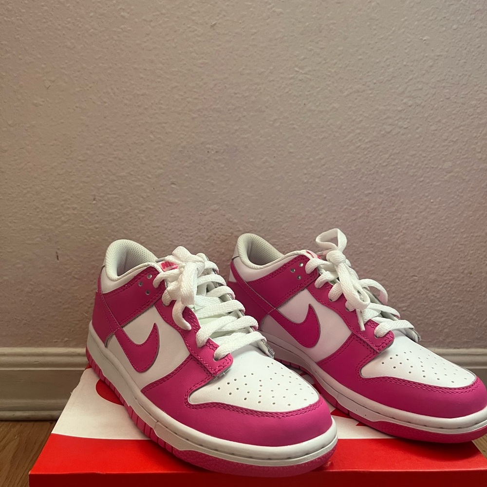 Nike Dunks Brand New!